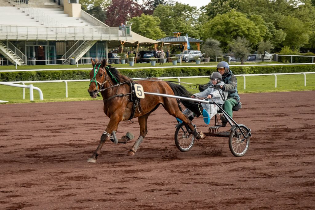 Durant les courses de trot, les chevaux vont jusqu'à 60km/h. Expérience garantie !